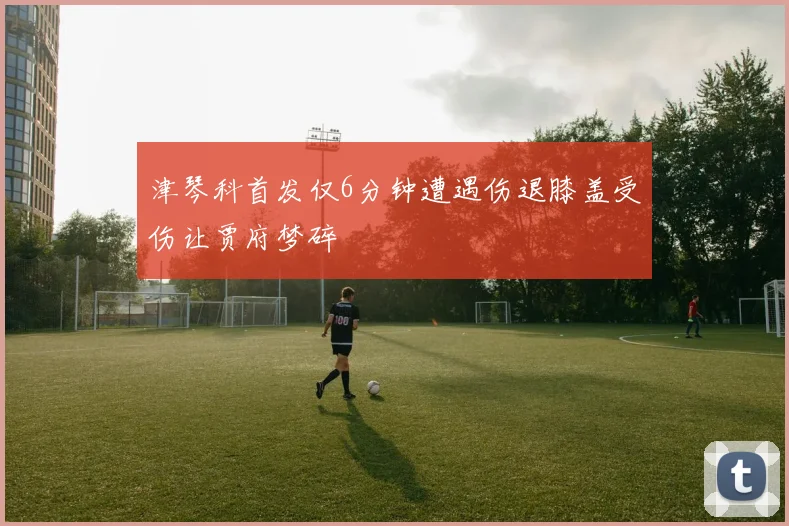 津琴科首发仅6分钟遭遇伤退膝盖受伤让贾府梦碎