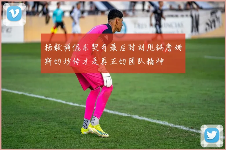 杨毅调侃东契奇最后时刻甩锅詹姆斯的妙传才是真正的团队精神